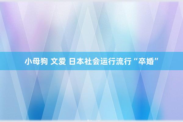 小母狗 文爱 日本社会运行流行“卒婚”
