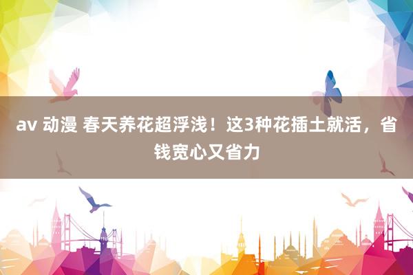 av 动漫 春天养花超浮浅！这3种花插土就活，省钱宽心又省力