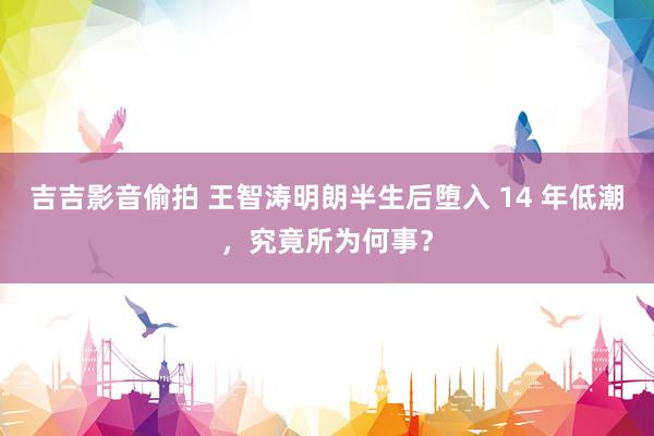 吉吉影音偷拍 王智涛明朗半生后堕入 14 年低潮，究竟所为何事？