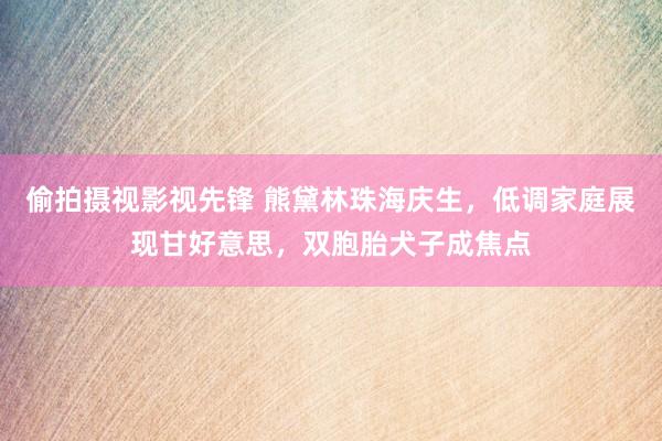 偷拍摄视影视先锋 熊黛林珠海庆生，低调家庭展现甘好意思，双胞胎犬子成焦点