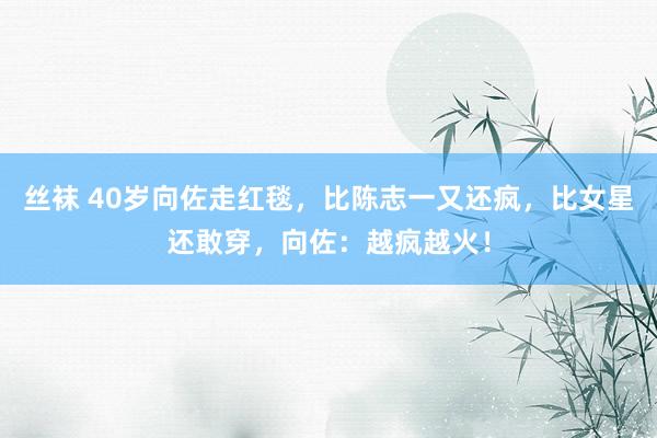 丝袜 40岁向佐走红毯，比陈志一又还疯，比女星还敢穿，向佐：越疯越火！