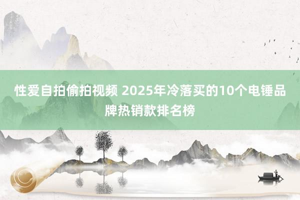 性爱自拍偷拍视频 2025年冷落买的10个电锤品牌热销款排名榜