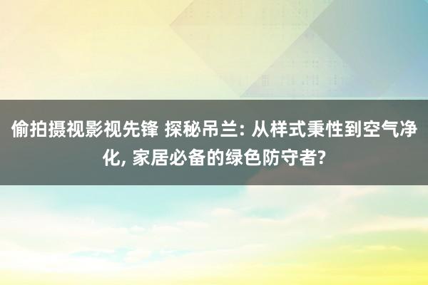 偷拍摄视影视先锋 探秘吊兰: 从样式秉性到空气净化, 家居必备的绿色防守者?