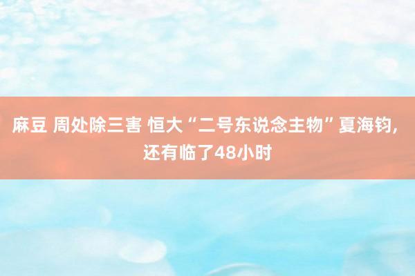 麻豆 周处除三害 恒大“二号东说念主物”夏海钧, 还有临了48小时