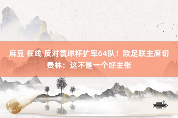 麻豆 在线 反对寰球杯扩军64队！欧足联主席切费林：这不是一个好主张