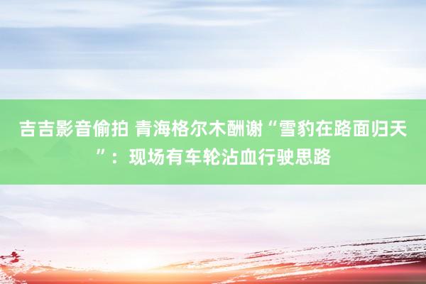吉吉影音偷拍 青海格尔木酬谢“雪豹在路面归天”：现场有车轮沾血行驶思路
